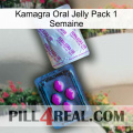 Kamagra Oral Jelly 1 Week Pack 37